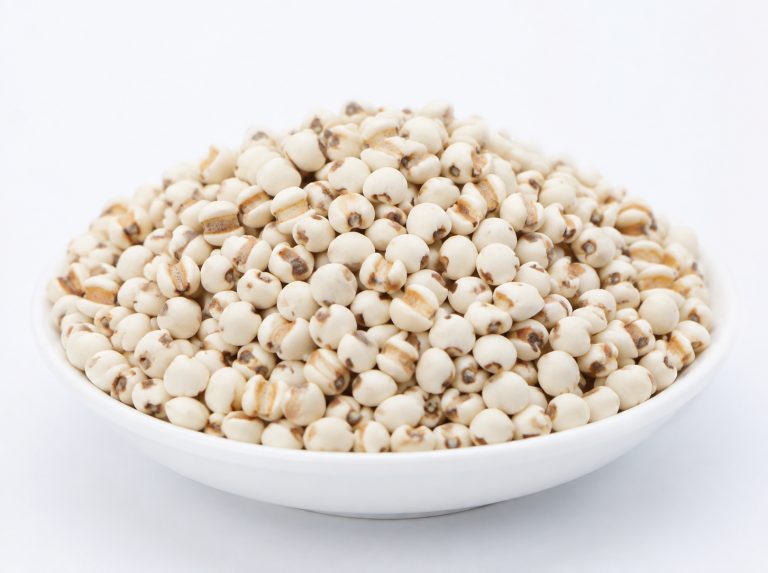 乐山食品加工用薏仁碎米